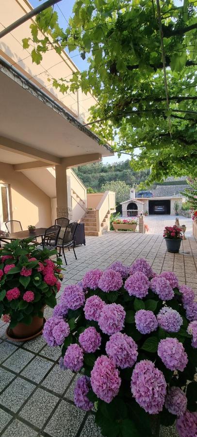 Apartman Anka Palit Exterior foto